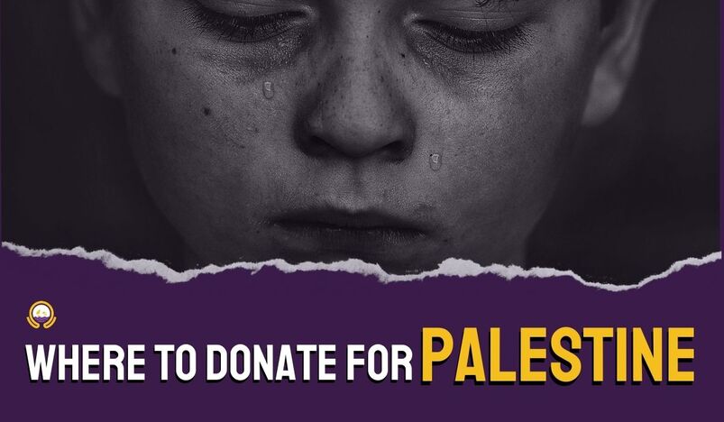 Where to Donate for Palestine